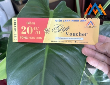 Ưu Đãi Tặng Gift Voucher Giảm 20% Tổng Hoá Đơn